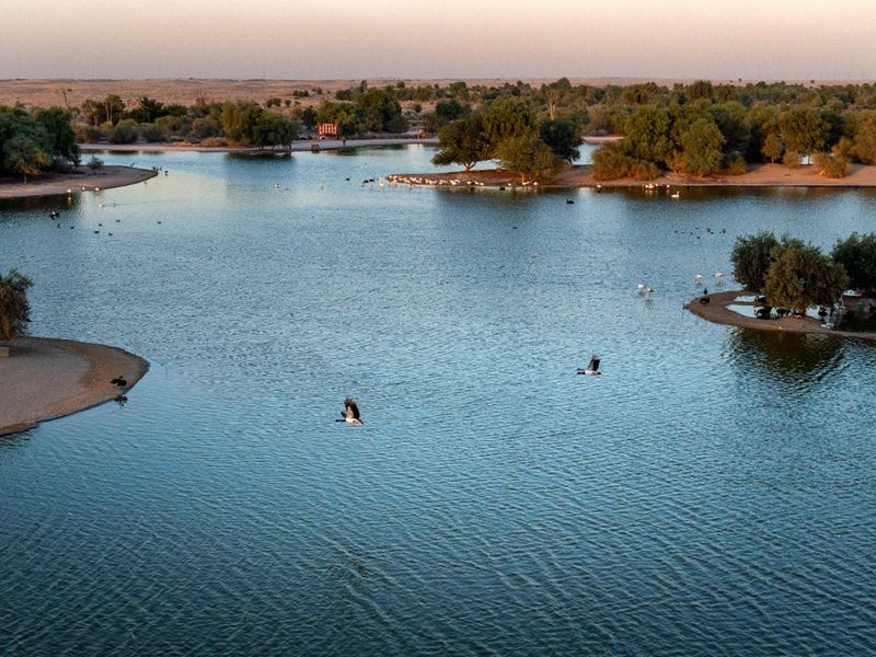 recommendation image