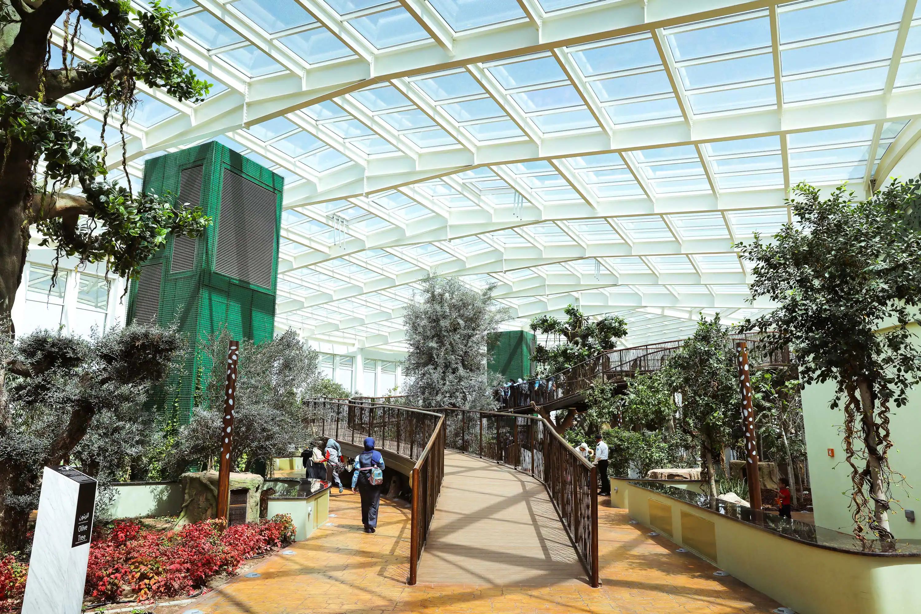 recommendation image