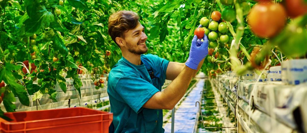 recommendation image