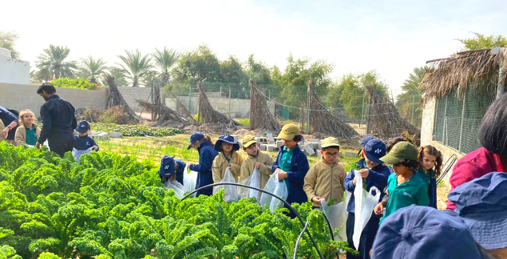 recommendation image