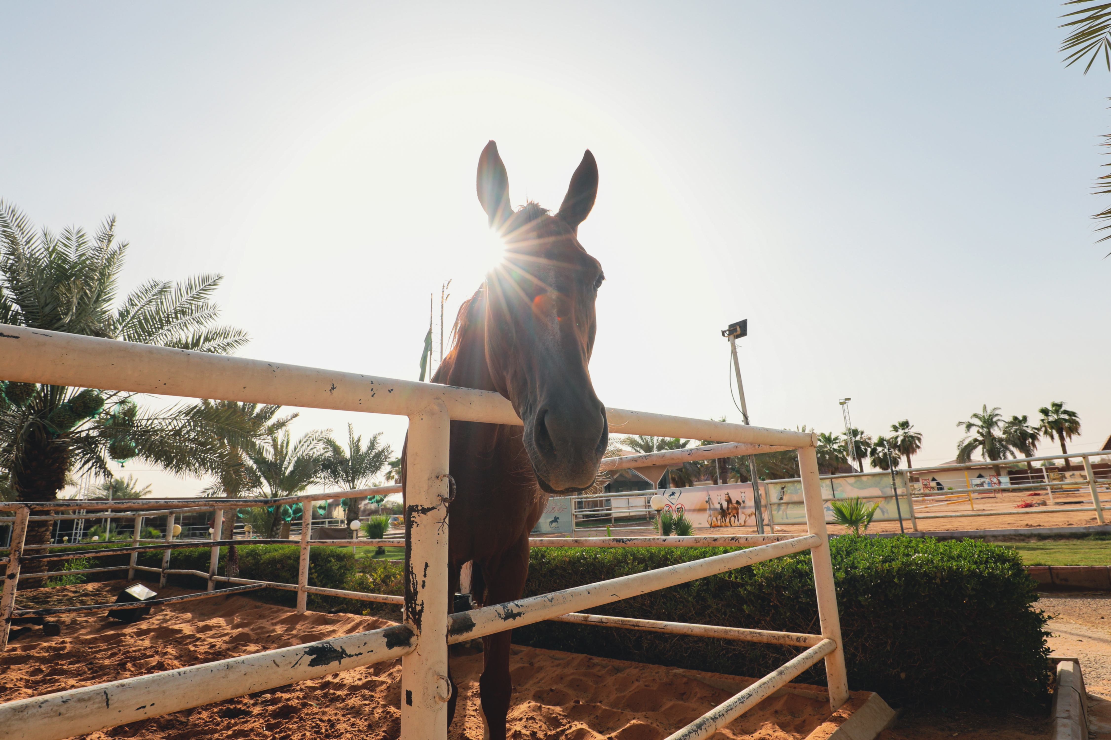 recommendation image