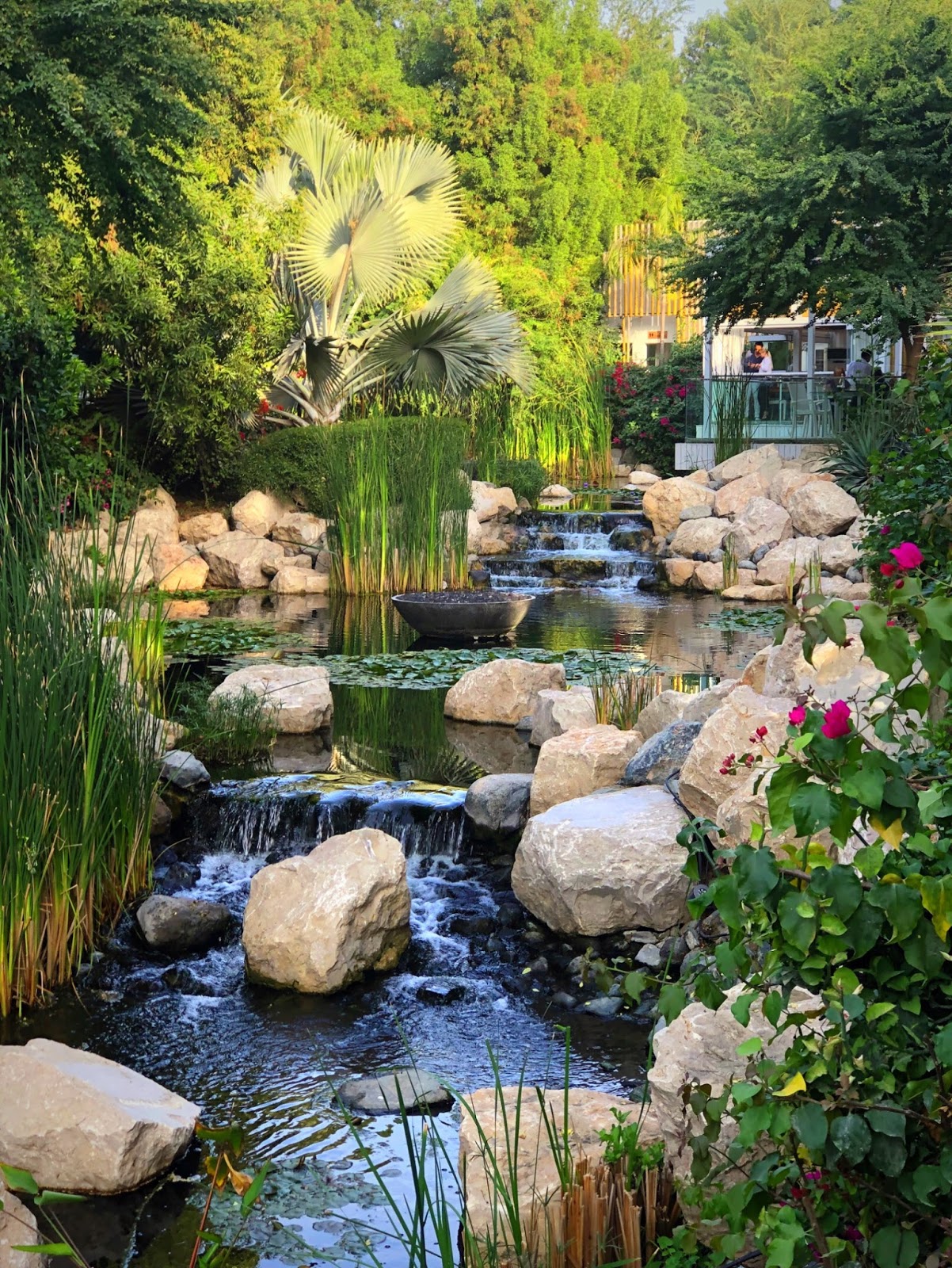 The Farm Restaurant Al Barari