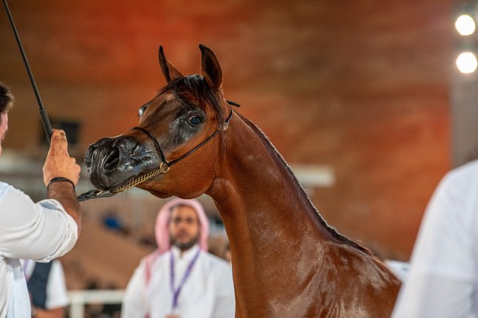 recommendation image