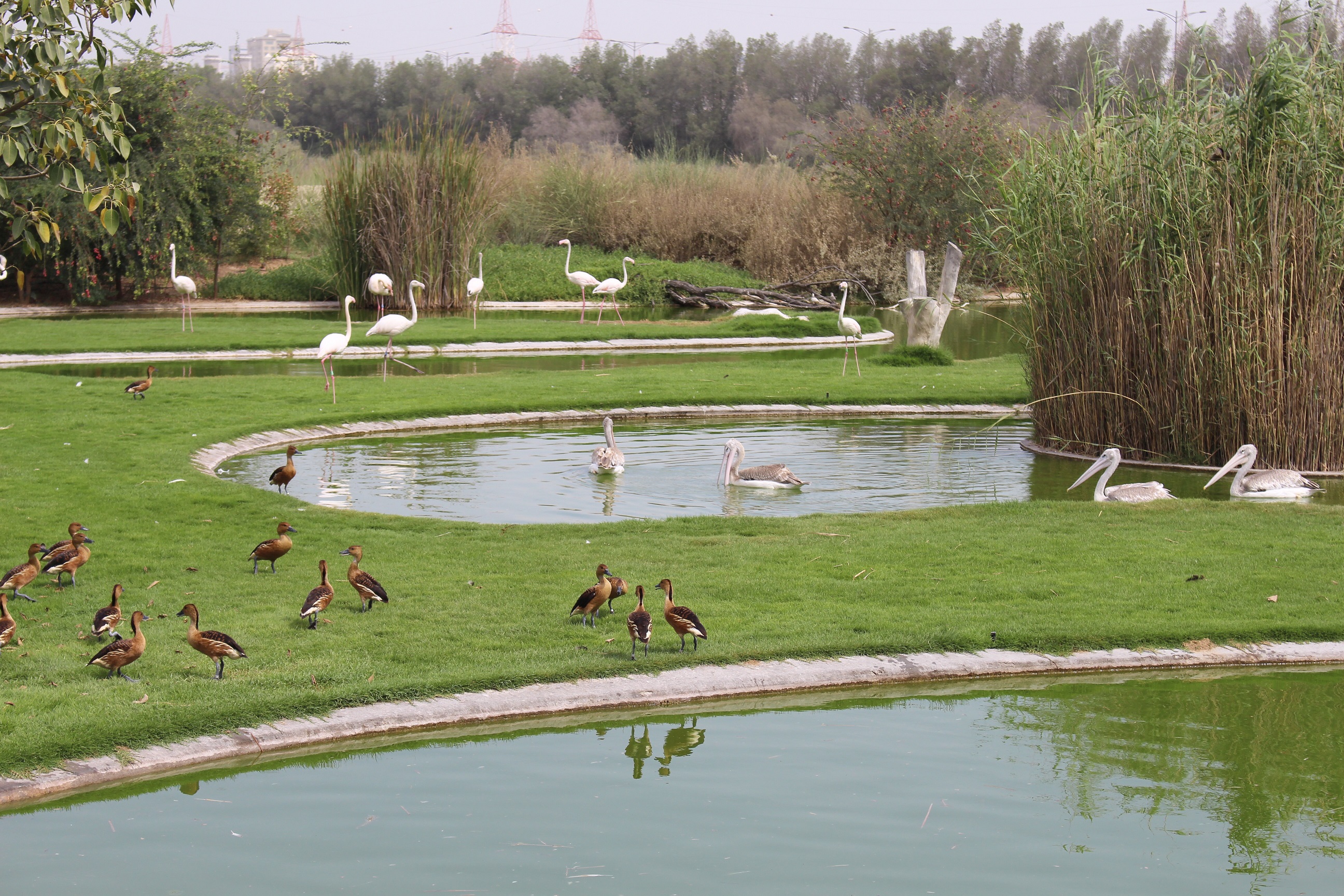 recommendation image