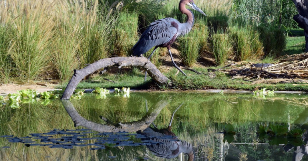 recommendation image